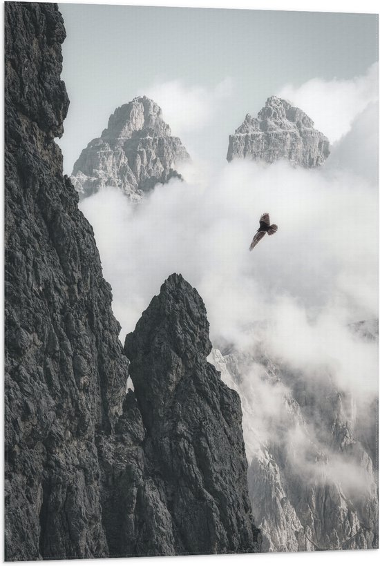 WallClassics - Vlag - Vogel Vliegend tussen Bergen (zwart/wit) - 60x90 cm Foto op Polyester Vlag