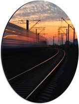 WallClassics - Dibond Ovaal - Voorbijrazende Trein bij Treinspoor - 30x40 cm Foto op Ovaal (Met Ophangsysteem)