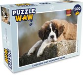 Puzzle Chien Saint-Bernard - Puzzle - Puzzle 500 pièces