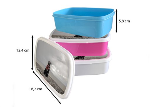 Lunch box Rose - Lunch box - Boîte à pain - Chien - Plage - Nuage - 18x12x6 cm - Enfants - Fille