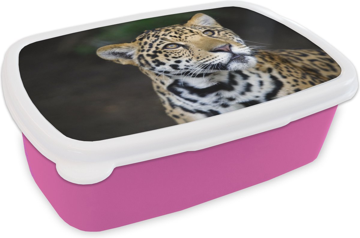 Broodtrommel Roze - Lunchbox - Brooddoos - Luipaard - Kop - Bos - 18x12x6 cm - Kinderen - Meisje