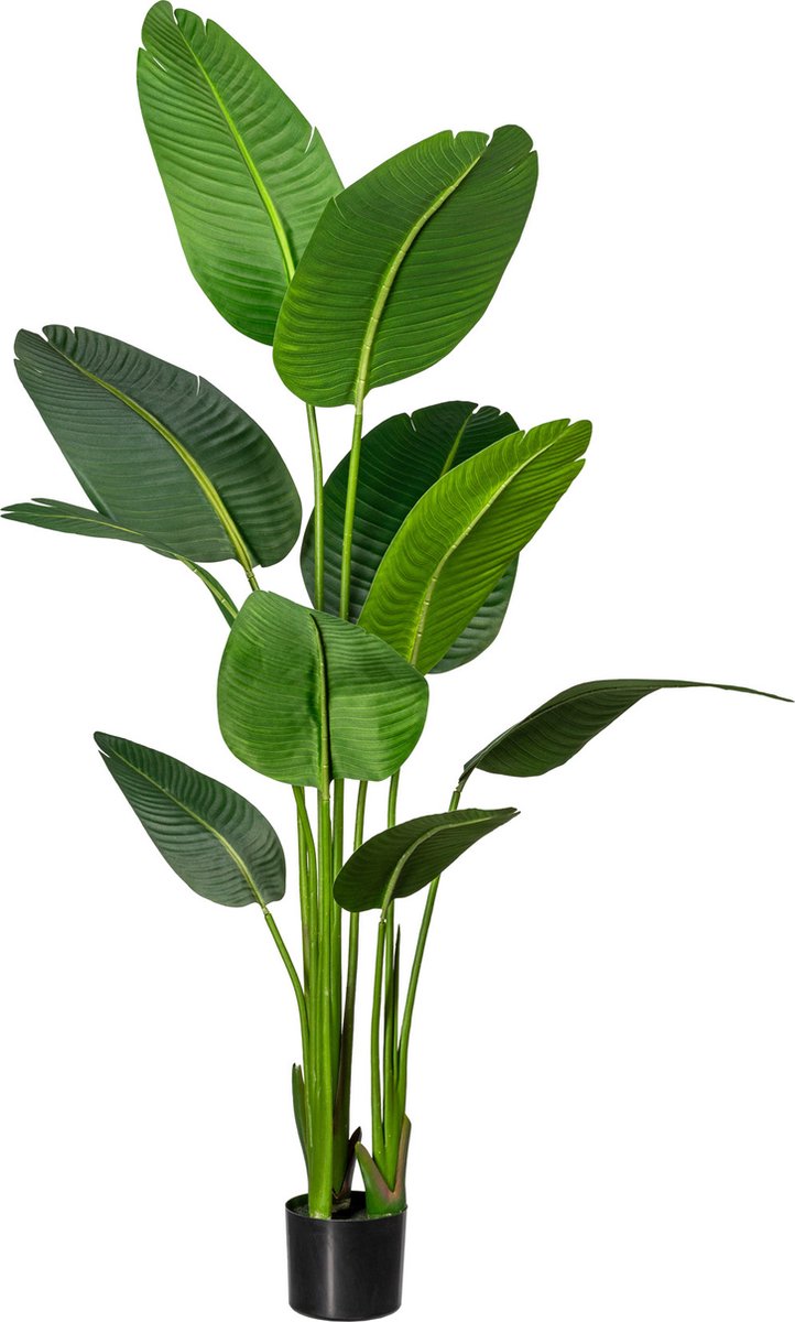 Kopu Kunstplant Strelitzia Nicolai 160 cm - Paradijsvogelplant 10 Blad Groen