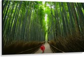 WallClassics - Canvas  - Bamboe Bomen met Japanse Paraplu - 150x100 cm Foto op Canvas Schilderij (Wanddecoratie op Canvas)