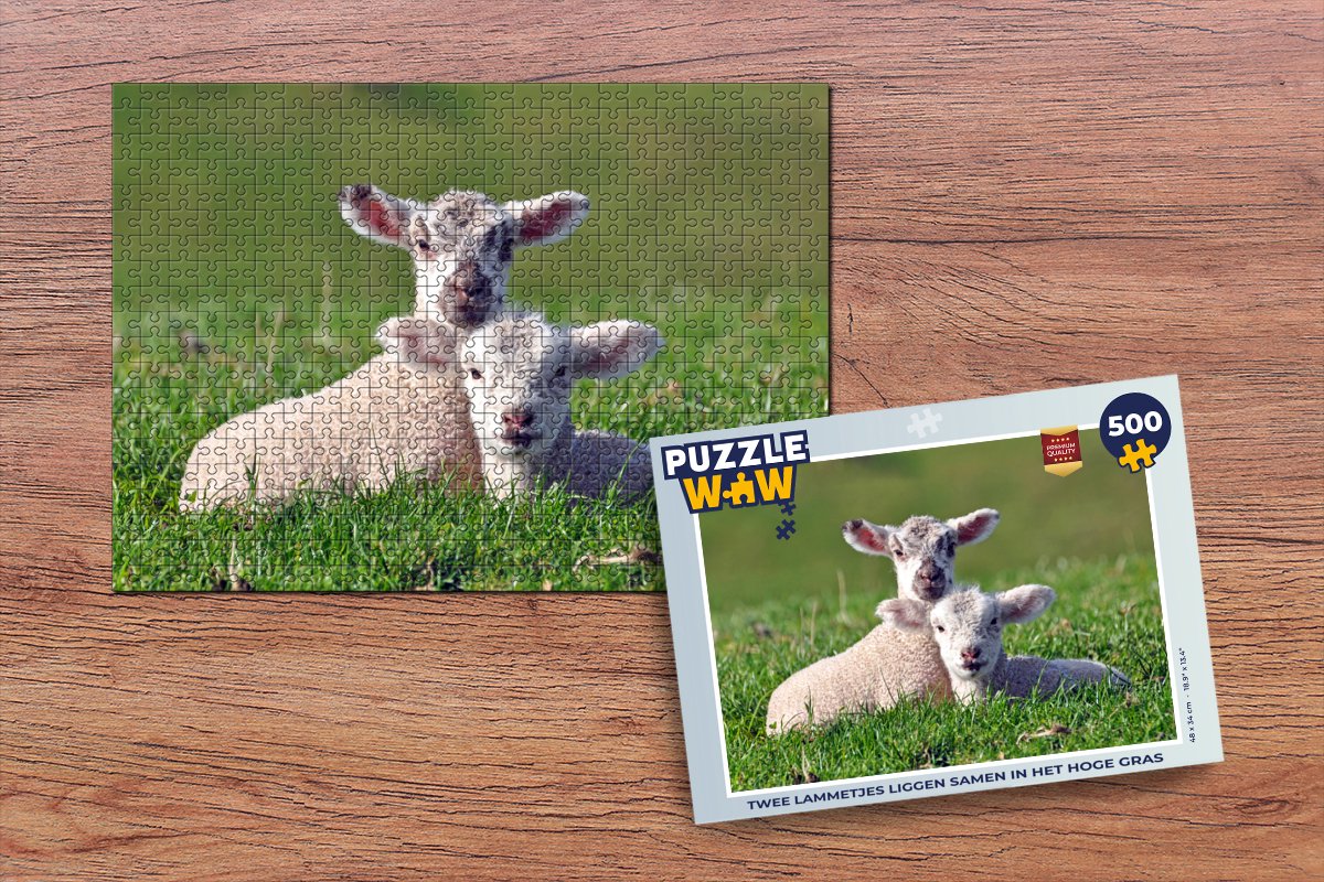 Puzzel Twee lammetjes liggen samen in het hoge gras - Legpuzzel - Puzzel 500 stukjes