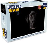 Puzzel Een zwarte Labrador Retriever op een zwarte achtergrond - Legpuzzel - Puzzel 1000 stukjes volwassenen