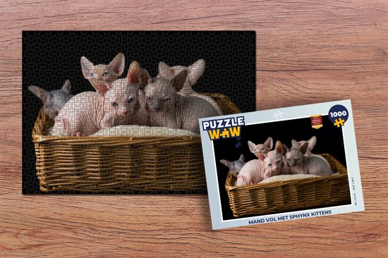 Puzzle Panier plein de chatons Sphynx - Puzzle - Puzzle 1000 pièces adultes
