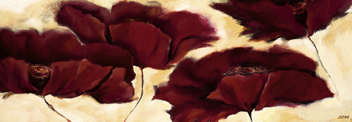 PGM Poster PGM Elena Filatov - Mohn in Milch III 99 x 34 cm diverse kleuren