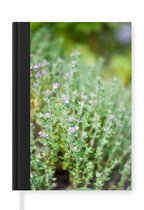 Notitieboek - Schrijfboek - Close up van de groeiende tijm planten in een schattige tuin - Notitieboekje klein - A5 formaat - Schrijfblok