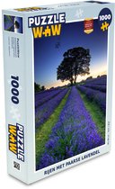 Puzzle Rangées de lavande violette - Puzzle - Puzzle 1000 pièces adultes