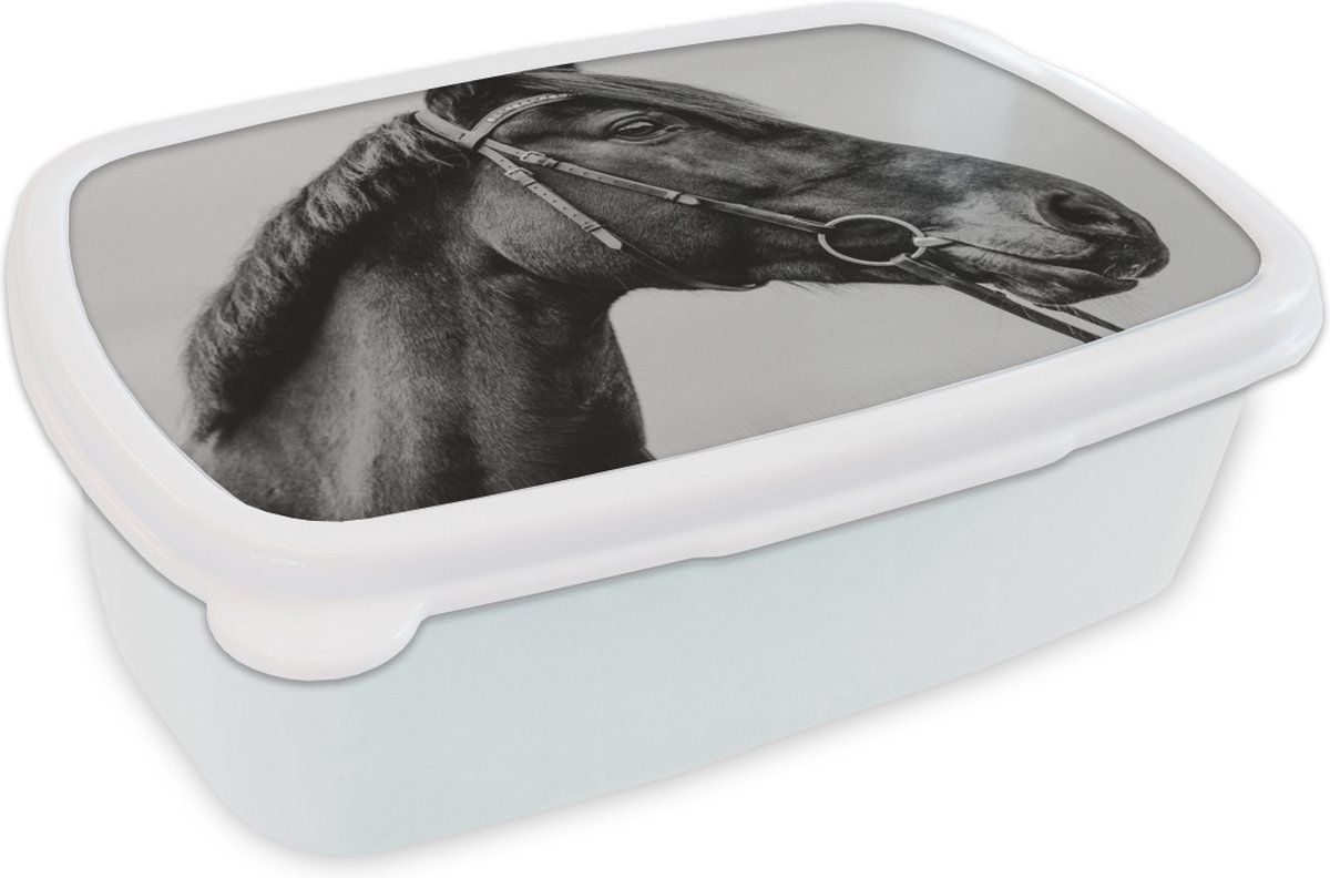 Broodtrommel Wit - Lunchbox - Brooddoos - Paard - Halster - Portret - 18x12x6 cm - Volwassenen