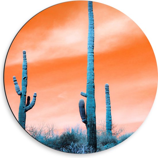 WallClassics - Dibond Muurcirkel - Cactussen in Veld onder Oranje Lucht - 50x50 cm Foto op Aluminium Muurcirkel (met ophangsysteem)