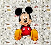 Luxe Wanddecoratie - Fotokunst 'Micky Mouse' - Galerie Kwaliteit Kristal Helder Plexiglas 5mm- Blind Aluminium Ophangsysteem - 60 x 90 - Akoestisch en UV Werend - inclusief verzending