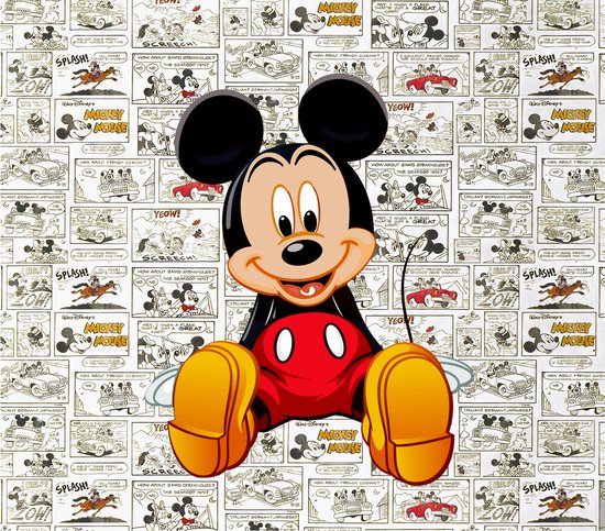 Luxe Wanddecoratie - Fotokunst 'Micky Mouse' - Galerie Kwaliteit Kristal Helder Plexiglas 5mm- Blind Aluminium Ophangsysteem - 60 x 90 - Akoestisch en UV Werend - inclusief verzending