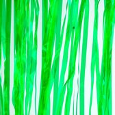 Transparant folie deurgordijn groen 200 x 100 cm - Feestartikelen/versiering - Tinsel deur gordijn