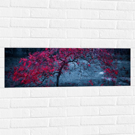 WallClassics - Muursticker - Boom met Rode Bladeren - 90x30 cm Foto op Muursticker