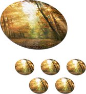 Onderzetters voor glazen - Rond - Bos - Herfst - Zon - Landschap - Natuur - Bomen - Bladeren - 10x10 cm - Glasonderzetters - 6 stuks