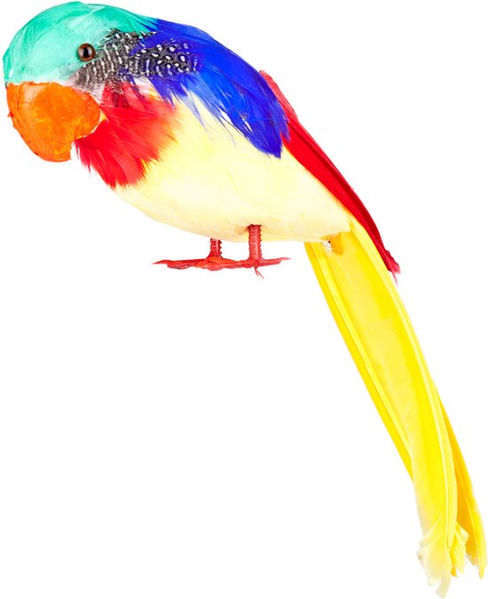 Boland - Papegaai Tweets - Tropisch;Piraten - Hawaii - Carnaval - Themafeest