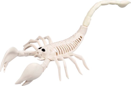 Boland - Decoratie Skelet schorpioen - Horror - Horror