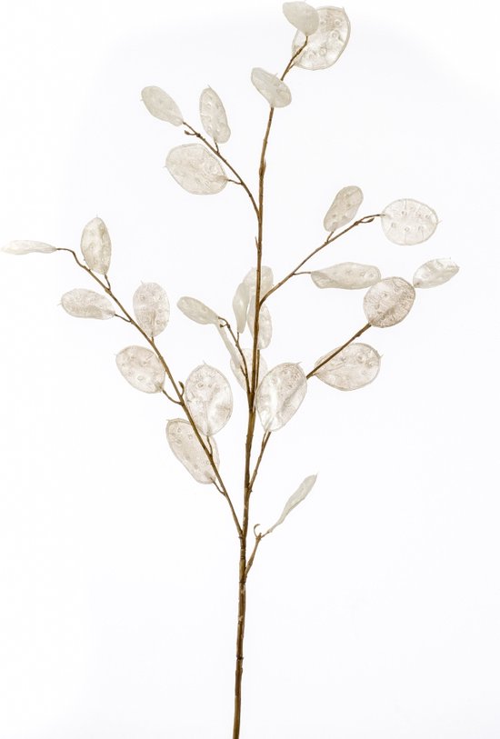 Fleurdirect Kunstbloem Lunaria - Polyester - Wit - 0 x 105 x 0 cm (BxHxD)