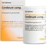 Heel Cerebrum Compositum H Tabletten 250st