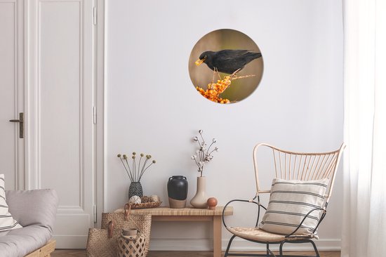 Cercle mural - Cercle mural - Vogel - Merle - Hiver - Glace - Baie - Plastique - Peintures rondes - ⌀ 30 cm - Peinture ronde - Cercle mural intérieur - Cercle mural animaux