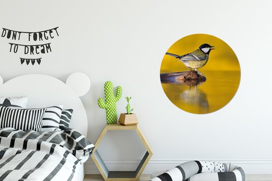 WallCircle - Cercle Mural - Cercle Mural - Mésange Vogel - Water - Aluminium - Dibond - 60x60 cm - Intérieur et Extérieur