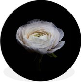 WallCircle - Wall Circle - Wall Circle Indoor - Bloem - Zwart - Wit - 120x120 cm - Décoration murale - Peintures Ronds XXL