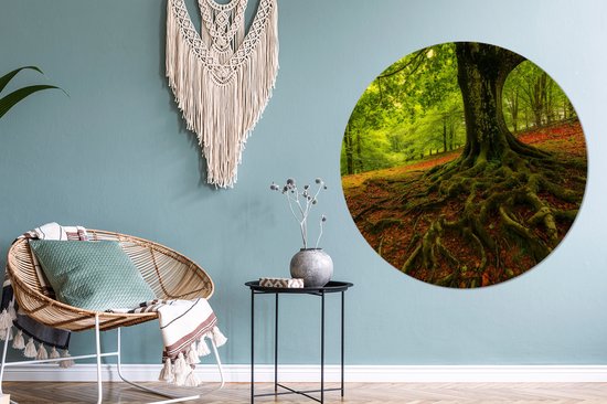 WallCircle - Wall Circle - Wall Circle Indoor - Arbre - Forêt - Feuilles d'Automne - 120x120 cm - Décoration murale - Peintures Ronds XXL