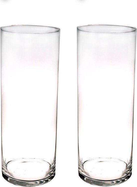Set van 2x stuks hoge glazen cilinder bloemenvazen 40 x 15 cm - Transparant  -... | bol.com