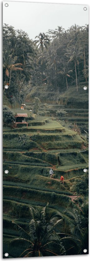 WallClassics - Tuinposter – Landbouwvelden in Bali - 50x150 cm Foto op Tuinposter  (wanddecoratie voor buiten en binnen)