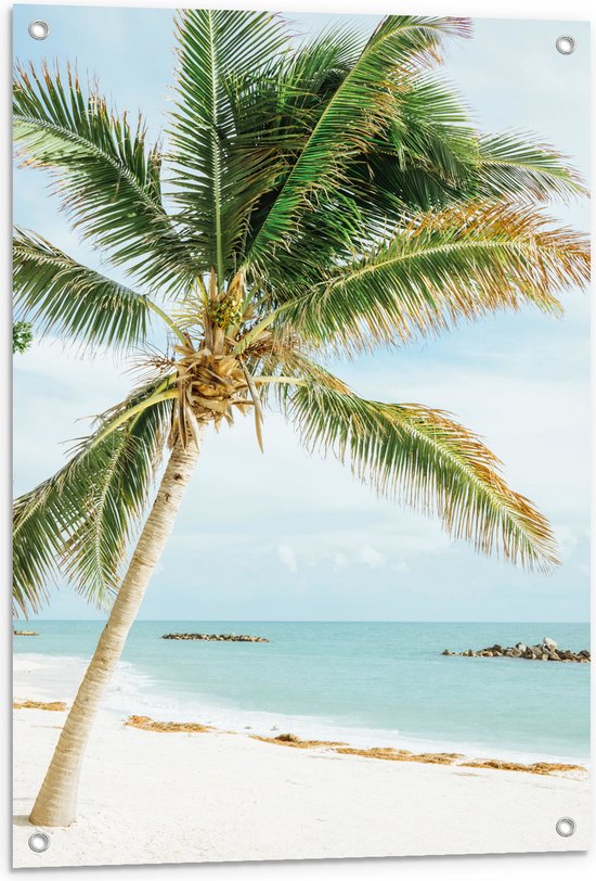WallClassics - Tuinposter – Palmboom op Wit Strand - 60x90 cm Foto op Tuinposter  (wanddecoratie voor buiten en binnen)