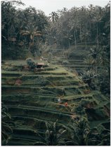 WallClassics - Poster (Mat) - Landbouwvelden in Bali - 60x80 cm Foto op Posterpapier met een Matte look