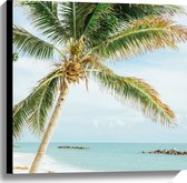 WallClassics - Canvas  - Palmboom op Wit Strand - 60x60 cm Foto op Canvas Schilderij (Wanddecoratie op Canvas)