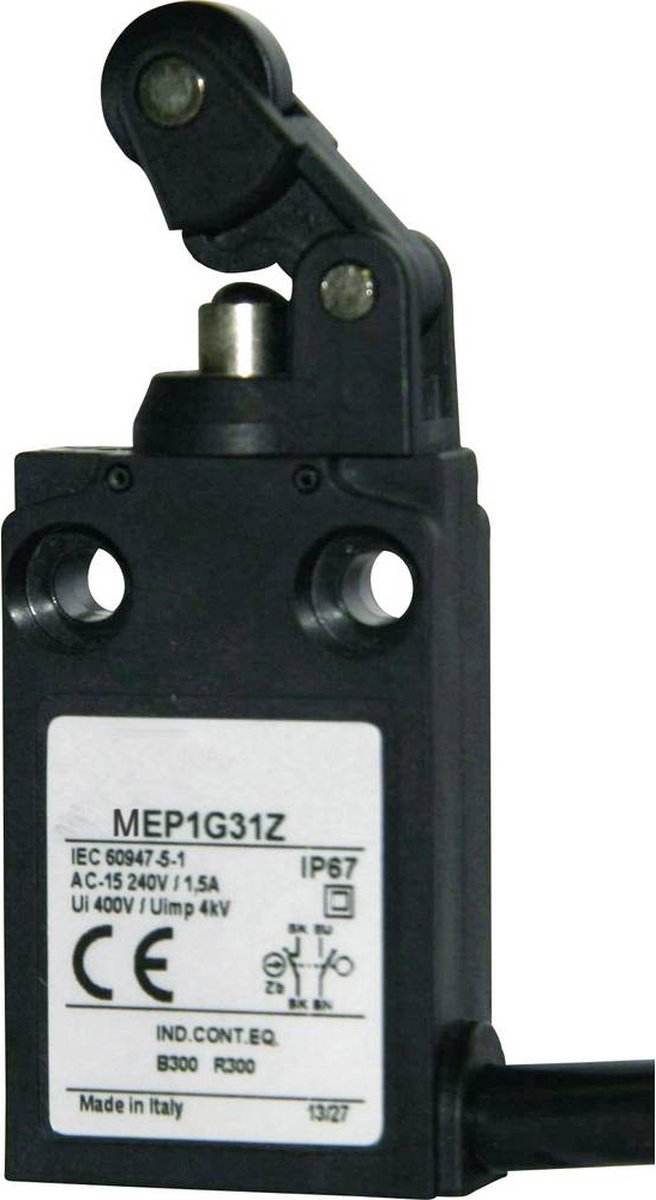 Panasonic MEP1G31Z MEP1G31Z Eindschakelaar 24 V 5 A Rolhendel IP67 1 stuk(s)