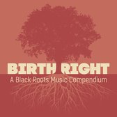 Various Artists - Birthright: A Black Roots Music Compendium (2 CD)
