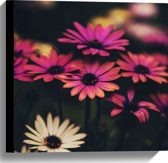 WallClassics - Canvas  - Roze-Witte Bloemen met Takken - 40x40 cm Foto op Canvas Schilderij (Wanddecoratie op Canvas)