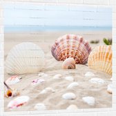 WallClassics - Muursticker - Schelpjes in het Zand op het Strand - 100x100 cm Foto op Muursticker