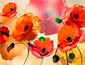 Fotobehang - Velvet poppies.