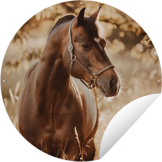 Tuincirkel Paard - Zon - Portret - Natuur - Bruin - 120x120 cm - Ronde Tuinposter - Buiten XXL / Groot formaat!
