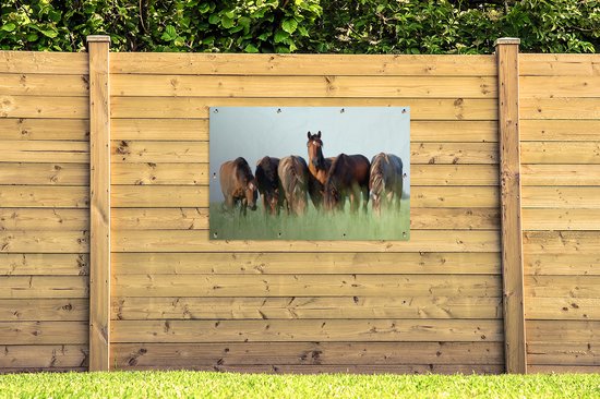 Affiche jardin - Toile jardin - Posters de jardin extérieur - Paarden - Animaux - Herbe - Été - 120x80 cm - Jardin