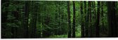 WallClassics - Dibond - Wandelpad in Bos - 90x30 cm Foto op Aluminium (Met Ophangsysteem)