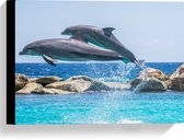 WallClassics - Canvas  - Springende Dolfijnen Boven het Water - 40x30 cm Foto op Canvas Schilderij (Wanddecoratie op Canvas)