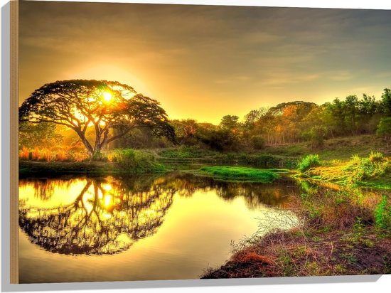 WallClassics - Bois - Paysage Naturel au Coucher de Soleil - 80x60 cm - 12 mm d'épaisseur - Photo sur Bois (Avec Système d'accrochage)