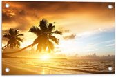 WallClassics - Tuinposter – Palmbomen op het Strand bij Zonsondergang - 60x40 cm Foto op Tuinposter  (wanddecoratie voor buiten en binnen)