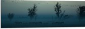 WallClassics - Dibond - Paarden in de Mist - 120x40 cm Foto op Aluminium (Wanddecoratie van metaal)