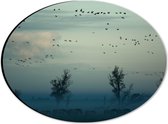 WallClassics - Dibond Ovaal - Paarden in de Mist - 28x21 cm Foto op Ovaal (Met Ophangsysteem)