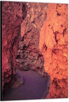Dibond –Oranje Rotsen– 80x120cm Foto op Aluminium (Wanddecoratie van metaal)