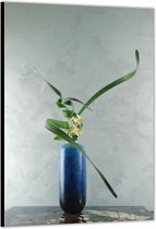 Dibond –Blauwe Vaas met Bloem– 40x60cm Foto op Aluminium (Wanddecoratie van metaal)