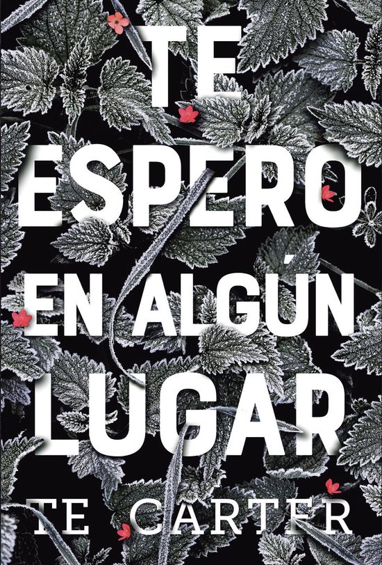 Te espero en algún lugar