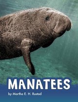 Animals- Manatees